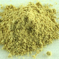 Dehydrated Fenugreek Powder