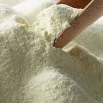 casein powder