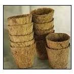 Coir Pots