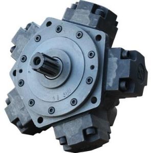 Hydraulic Radial Piston Motor