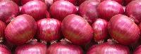 Fresh Red Onion