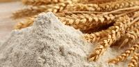 Wheat Flour