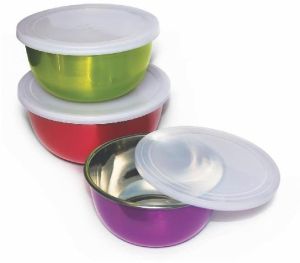 3 Pcs Transparent Lid Flora Bowl Set