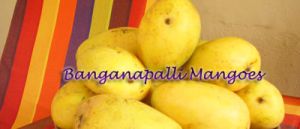 Banganapalli Mango