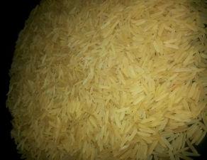 1509 Golden Sella Rice