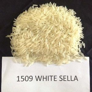1509 White Sella Rice