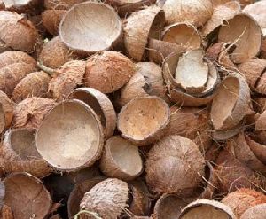 Coconut Shell