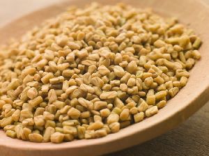 Fenugreek Seeds