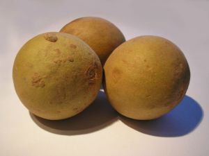 Fresh Sapota