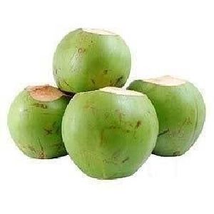 Fresh Tender Coconut