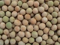 FRozen White Peas