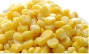 Human Feed Yellow Maize Seeds