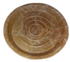 Leaf Plates