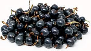 Fresh Blackcurrant