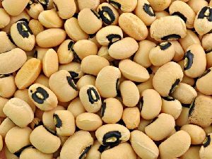 black eyed peas