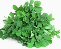 Fresh Fenugreek Leaves