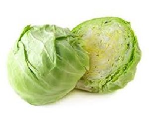 Fresh Cabbage