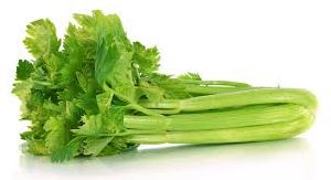 Fresh Celery