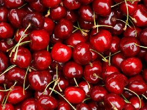 Fresh Cherry