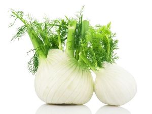 Fresh Fennel