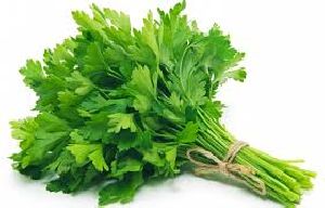 Fresh Parsley Leaves