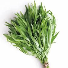 Fresh Tarragon