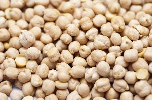 White Chickpeas