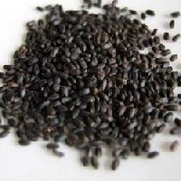 tulsi seed