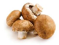 Fresh Crimini Mushroom