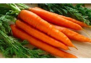 Fresh Carrot