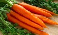 yellow carrots
