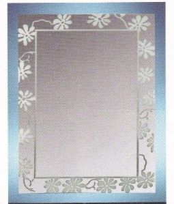 frosted mirror