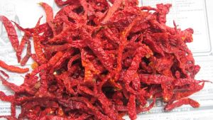 Byadgi Dried Red Chilli