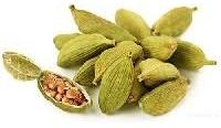 Cardamom Extract