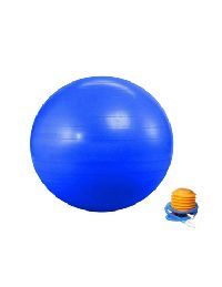 65 Gym Ball