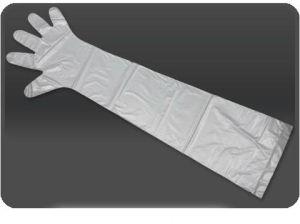 Disposable Glove