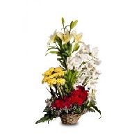 25 mix seasonal flower cane basket