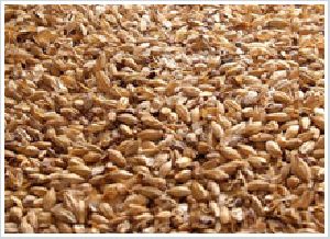 barley malt