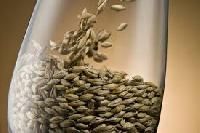 barley malt