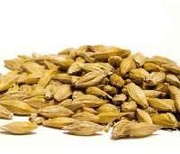 barley malt