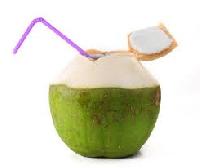 Instant Coconut Drink