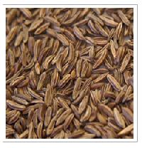 Caraway Seeds