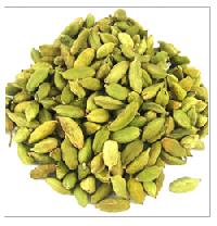 Cardamom