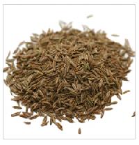 Cumin