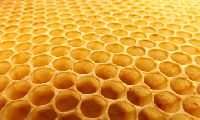 Honeycomb Adhesive