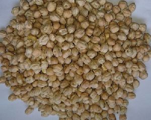 White Chickpeas
