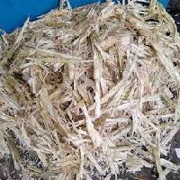 Sugarcane Bagasse