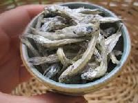 Dried Anchovies