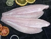 Viertnam Basa White Fillets