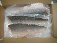 Fresh Frozen Salmon fish